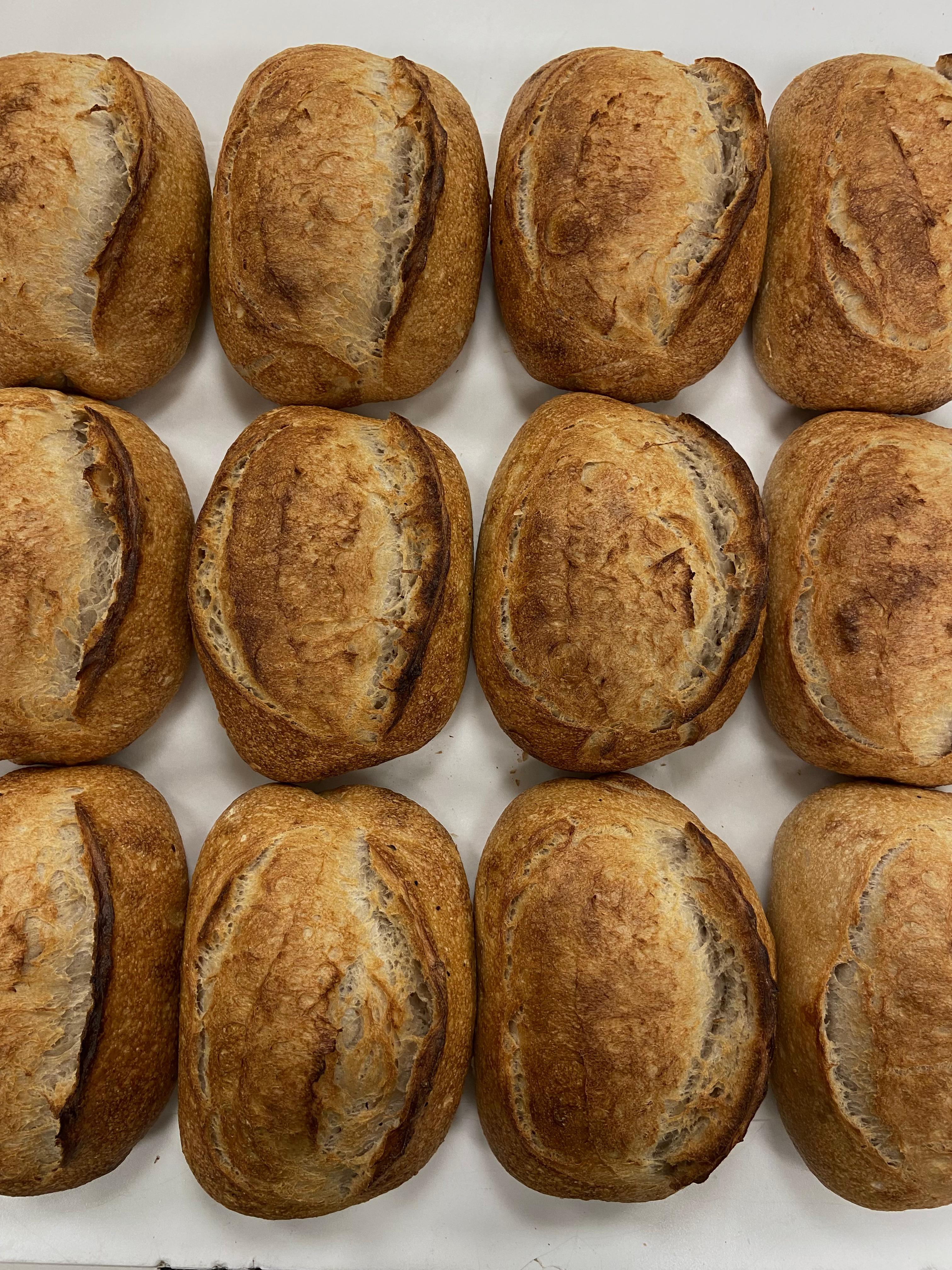 Artisan Sourdough Loaves